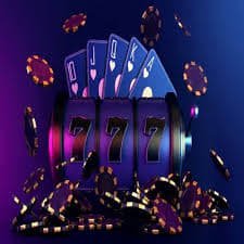 203 bet